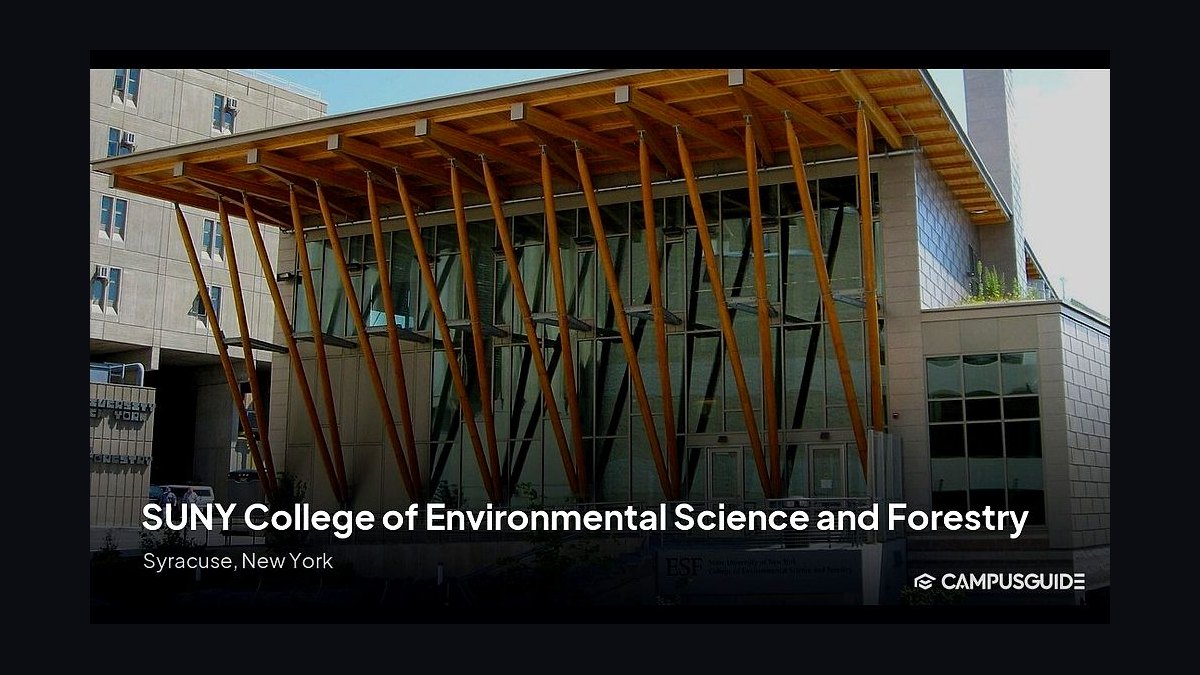 Top 10 Universities for Forestry in 2027