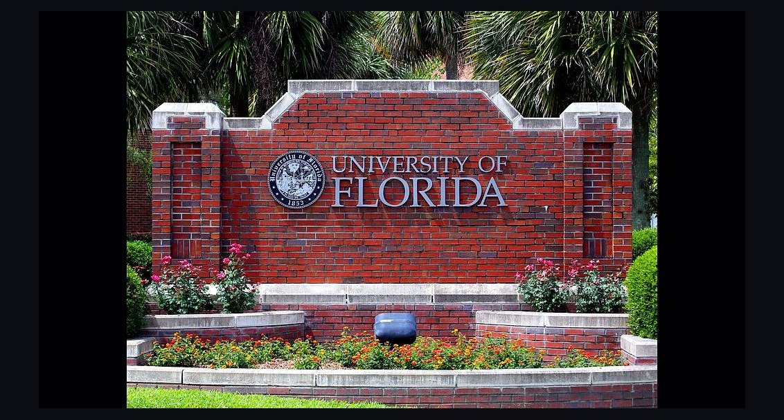 Top 10 Best Online Universities in 2027