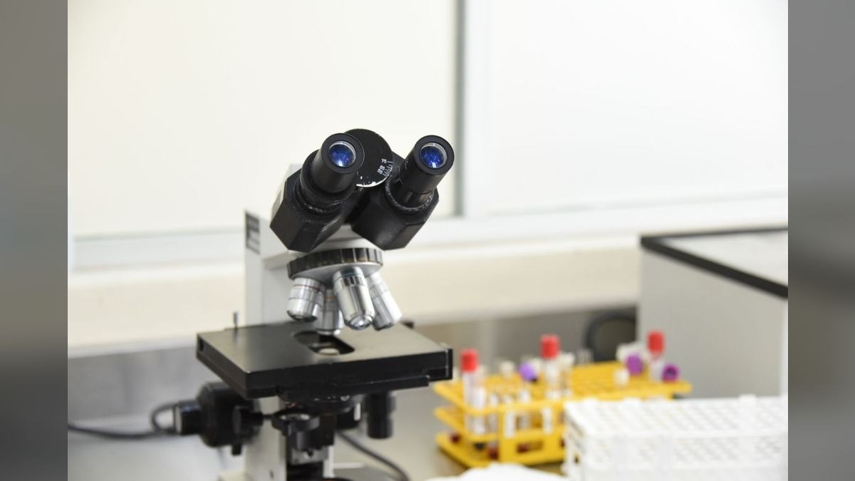 Top 10 Universities for Biomedical Engineering in 2027 — figure 4