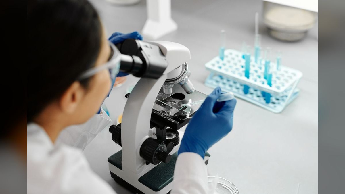 Top 10 Universities for Biomedical Engineering in 2027 — figure 6