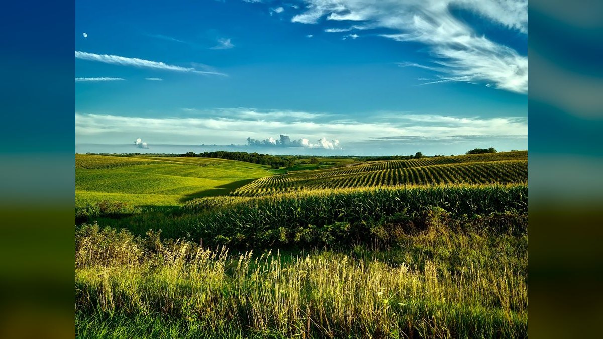 Top 10 Private Colleges in Iowa in 2027 — figure 2