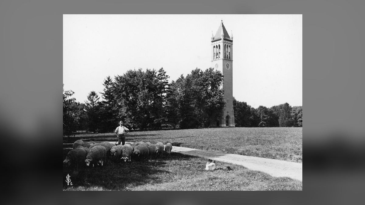Top 10 Best Colleges for Rural Students in 2027 — figure 4