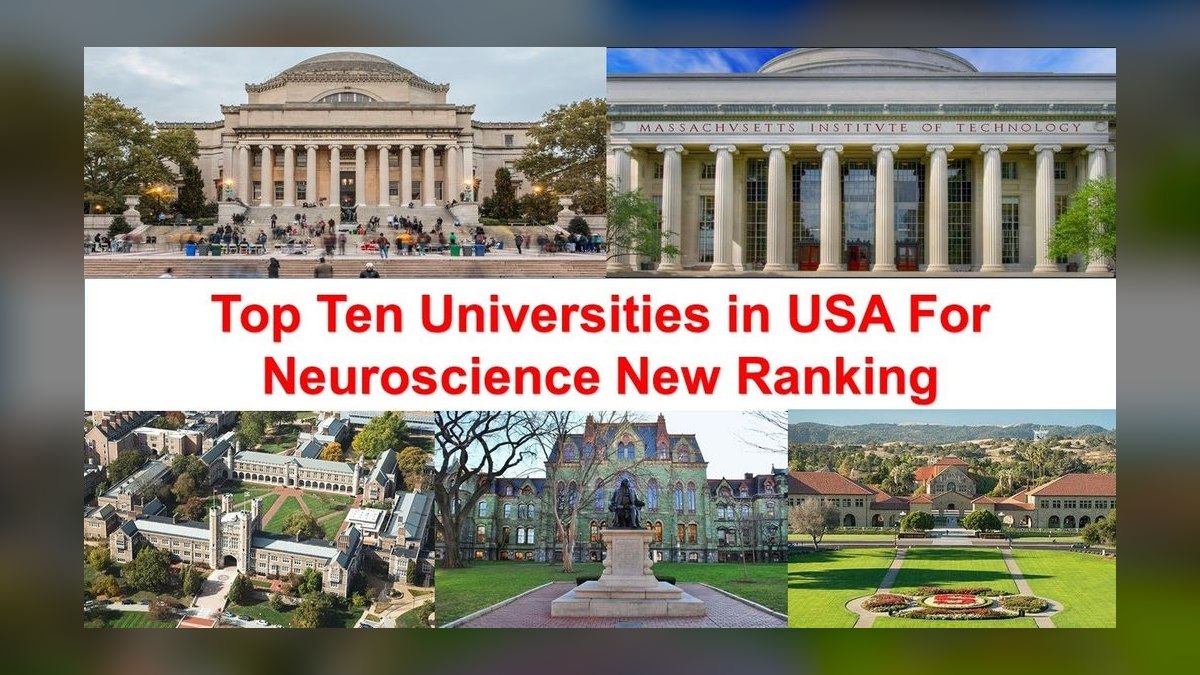 Top 10 Universities for Neuroscience in 2027