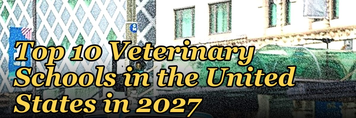 Top 10 Veterinary Schools in the United States in 2027