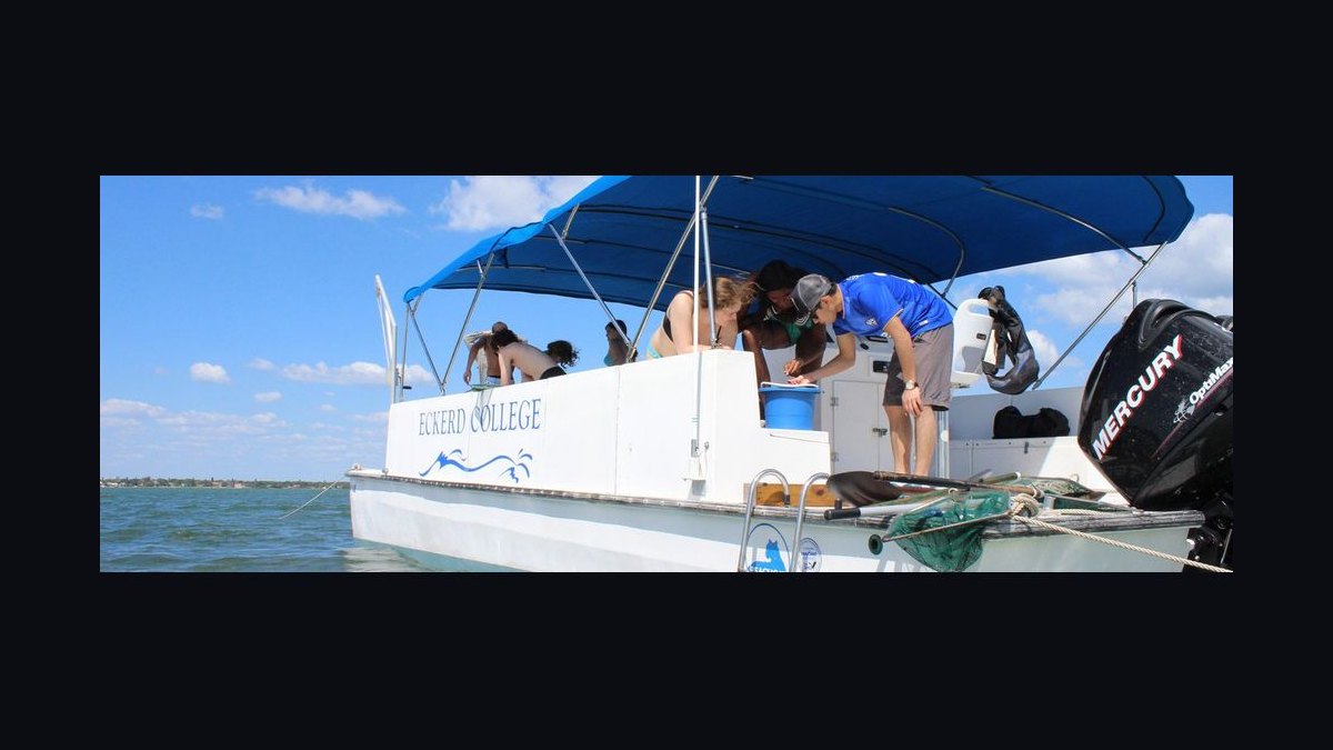 Top 10 Marine Biology Programs in Florida in 2027 — figure 8
