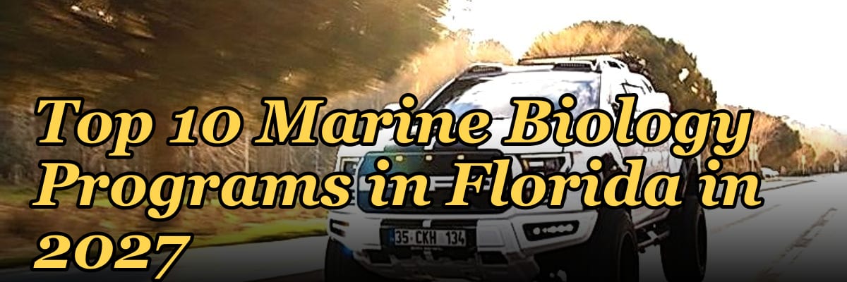 Top 10 Marine Biology Programs in Florida in 2027