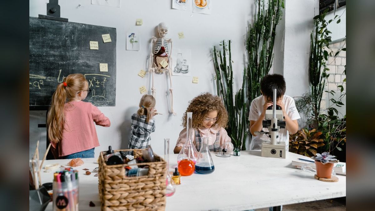 Top 10 Environmental Science Schools in Colorado in 2027