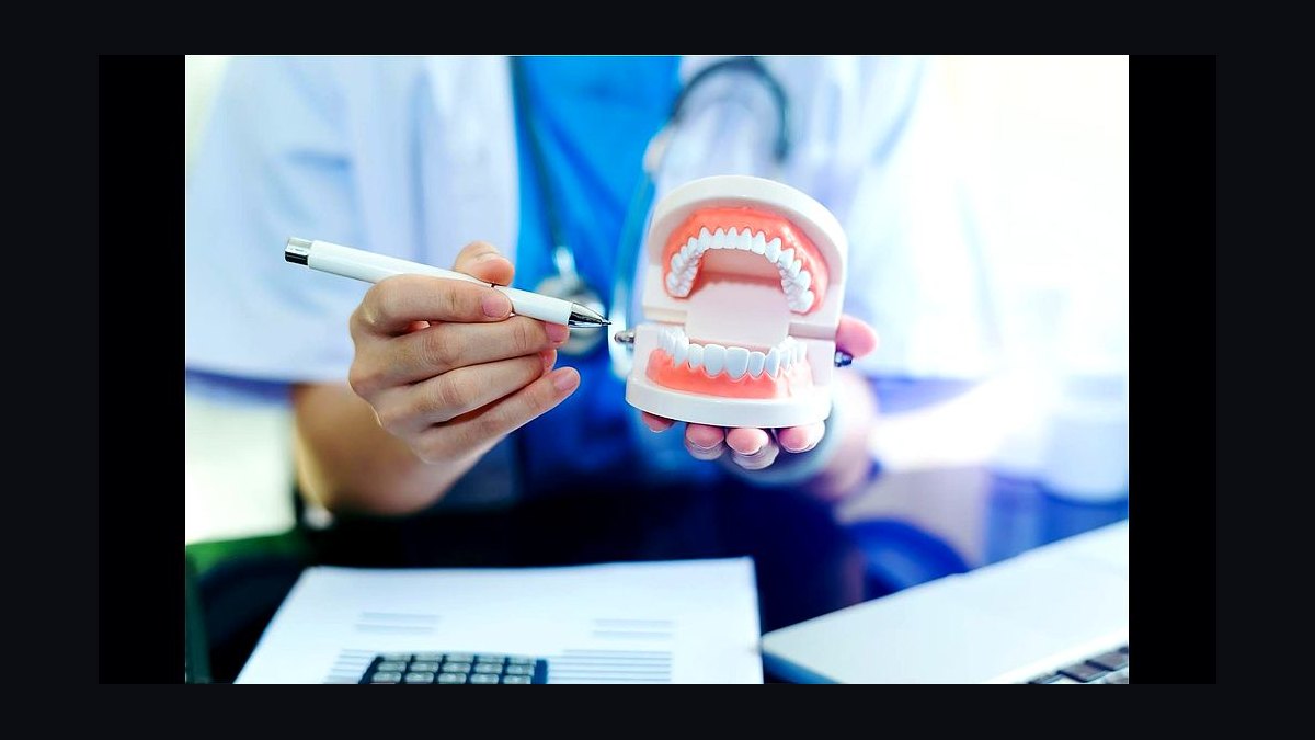Top 10 Dental Schools in 2027 — figure 8