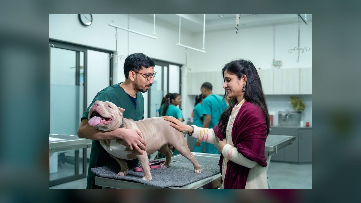 Top 10 Veterinary Schools in 2027 — figure 1