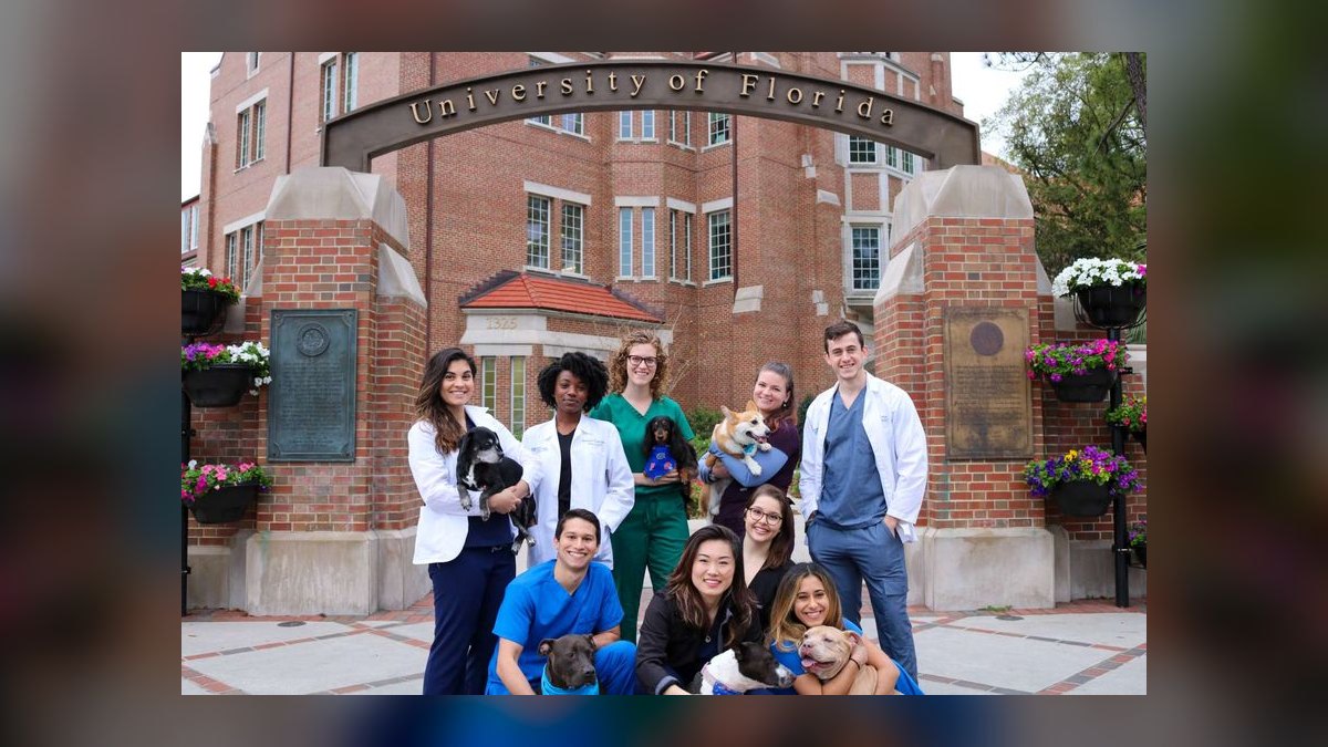 Top 10 Veterinary Schools in 2027 — figure 7