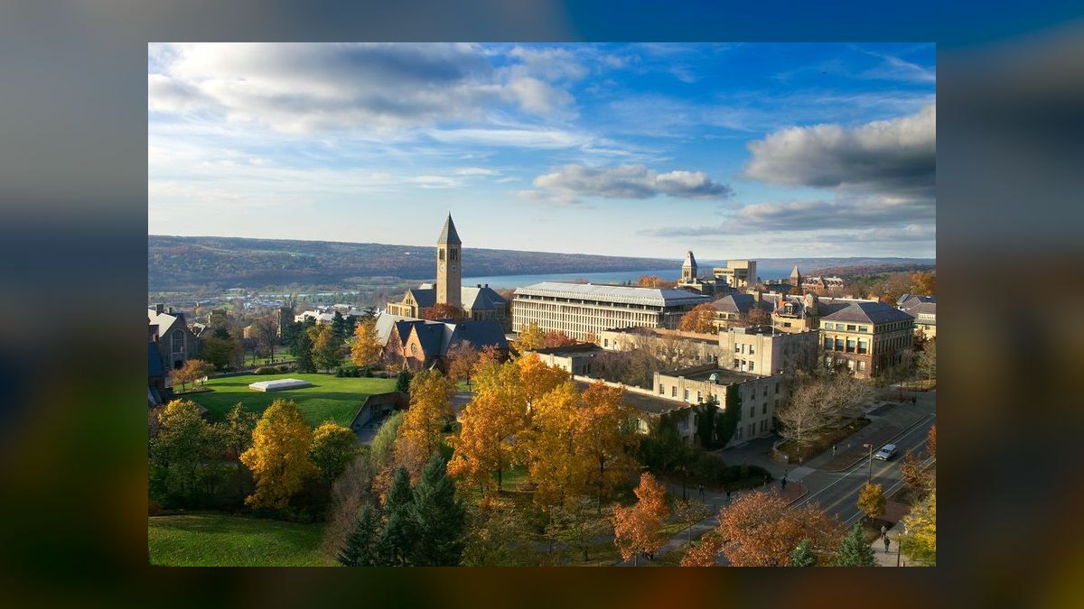 Top 10 Veterinary Schools in 2027