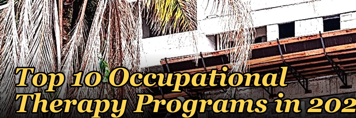 Top 10 Occupational Therapy Programs in 2027