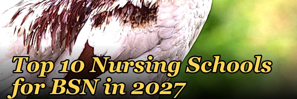 Top 10 Nursing Schools for BSN in 2027