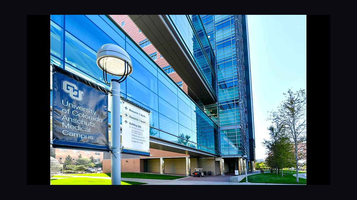 Top 10 Medical Schools for Primary Care in 2027 — figure 5