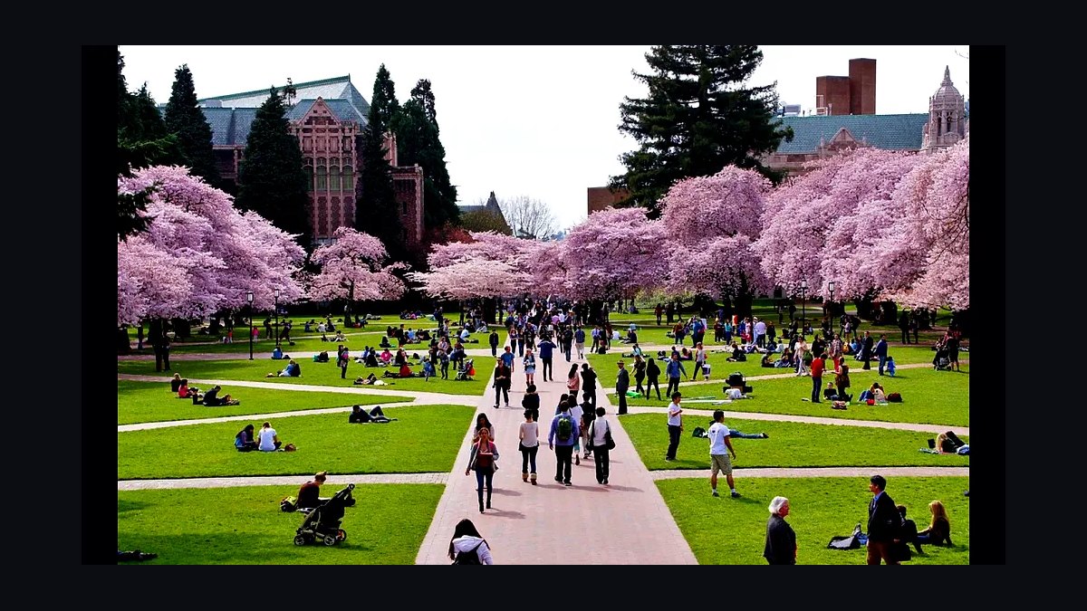 Top 10 Medical Schools for Primary Care in 2027