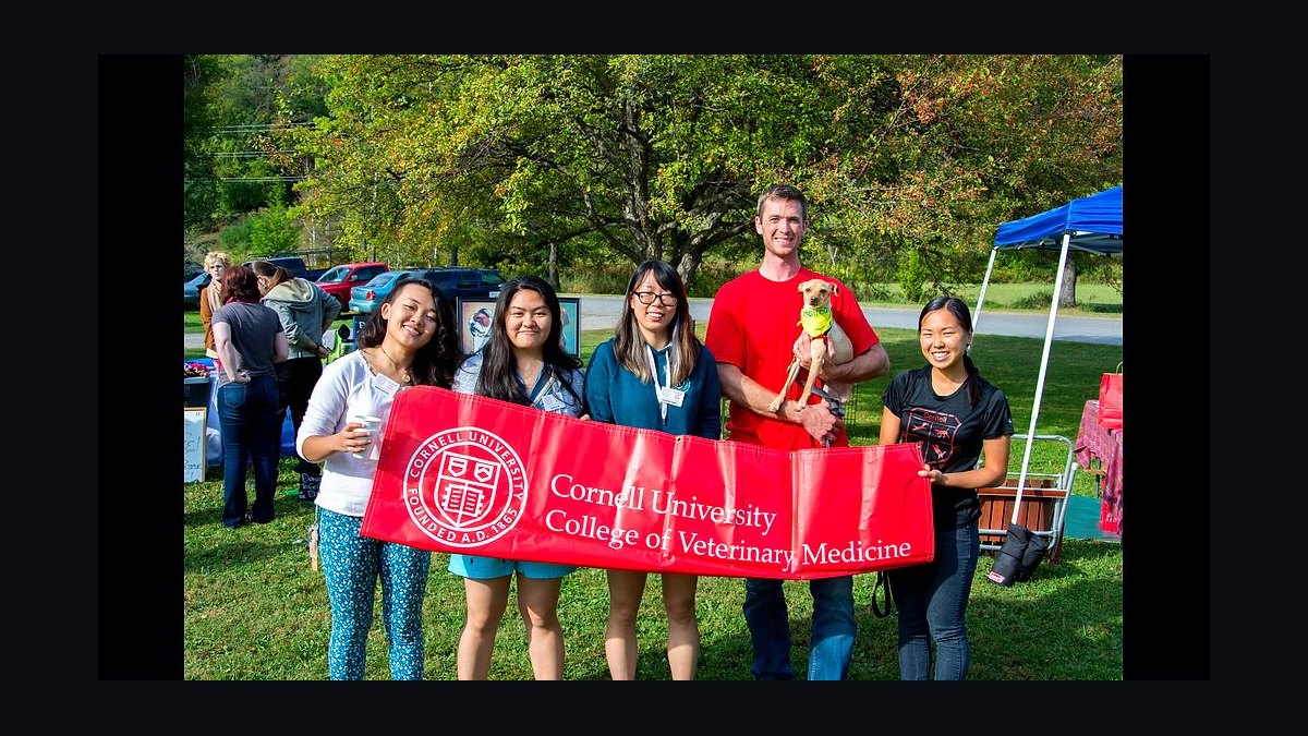 Top 10 Veterinary Schools in the US in 2027 — figure 1