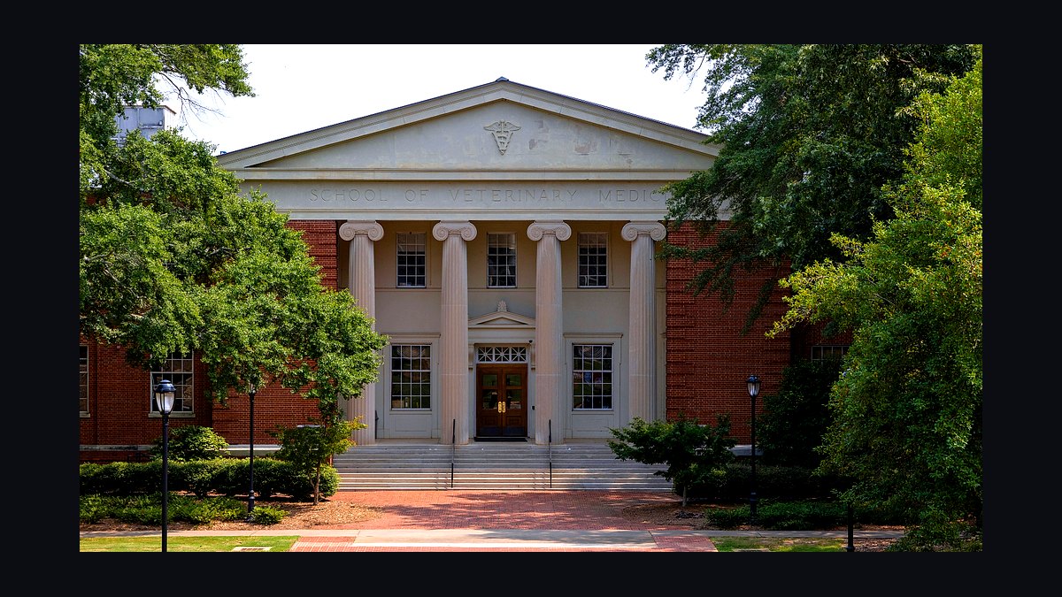 Top 10 Veterinary Schools in the US in 2027 — figure 10