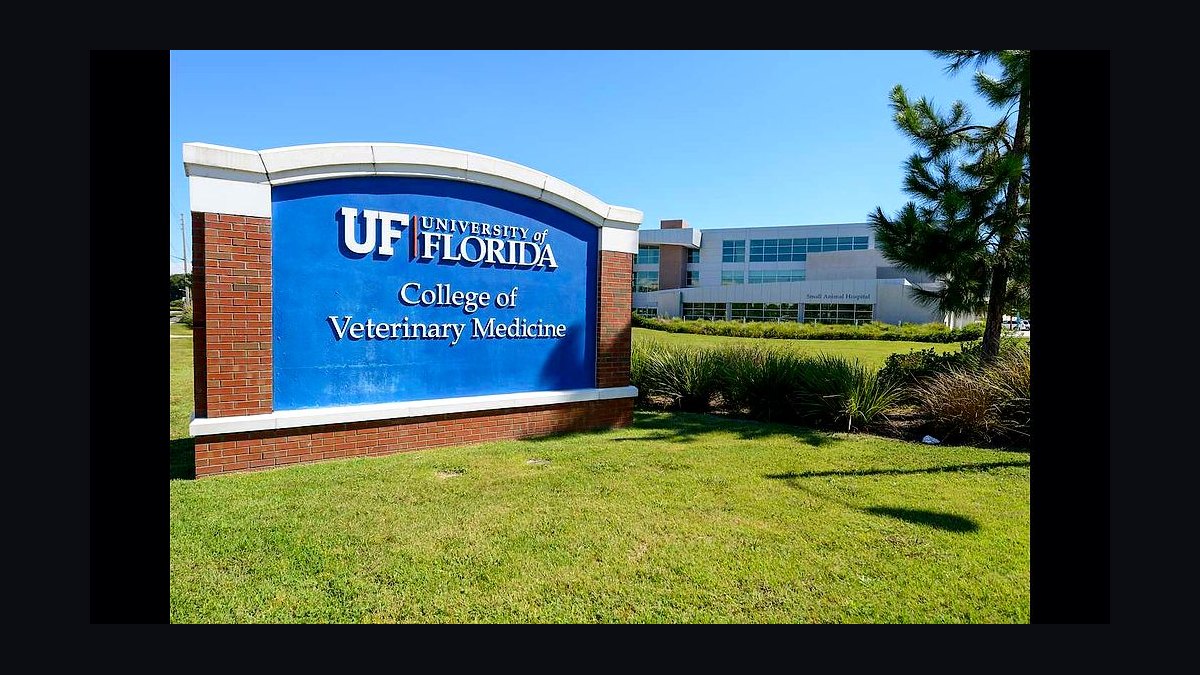 Top 10 Veterinary Schools in the US in 2027 — figure 6