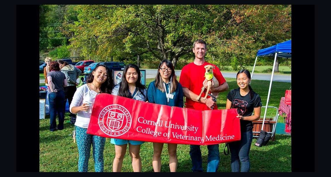 Top 10 Veterinary Schools in the US in 2027