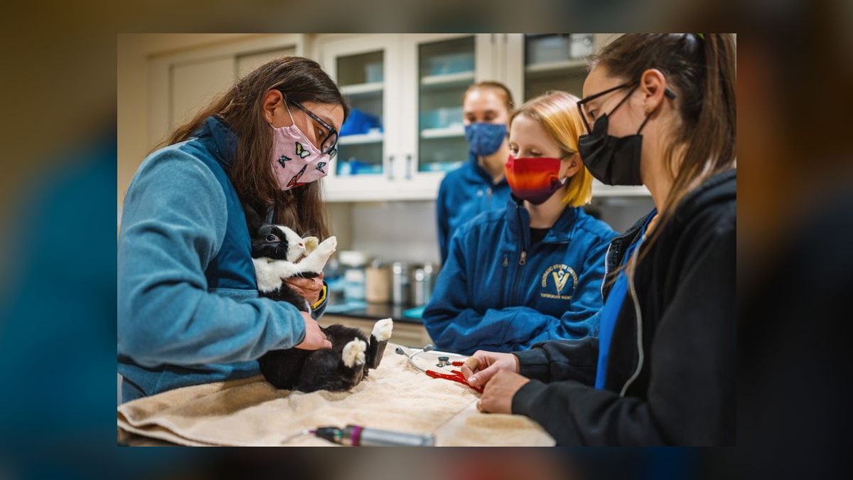 Top 10 Schools for Veterinary Technician Training in 2027 — figure 3