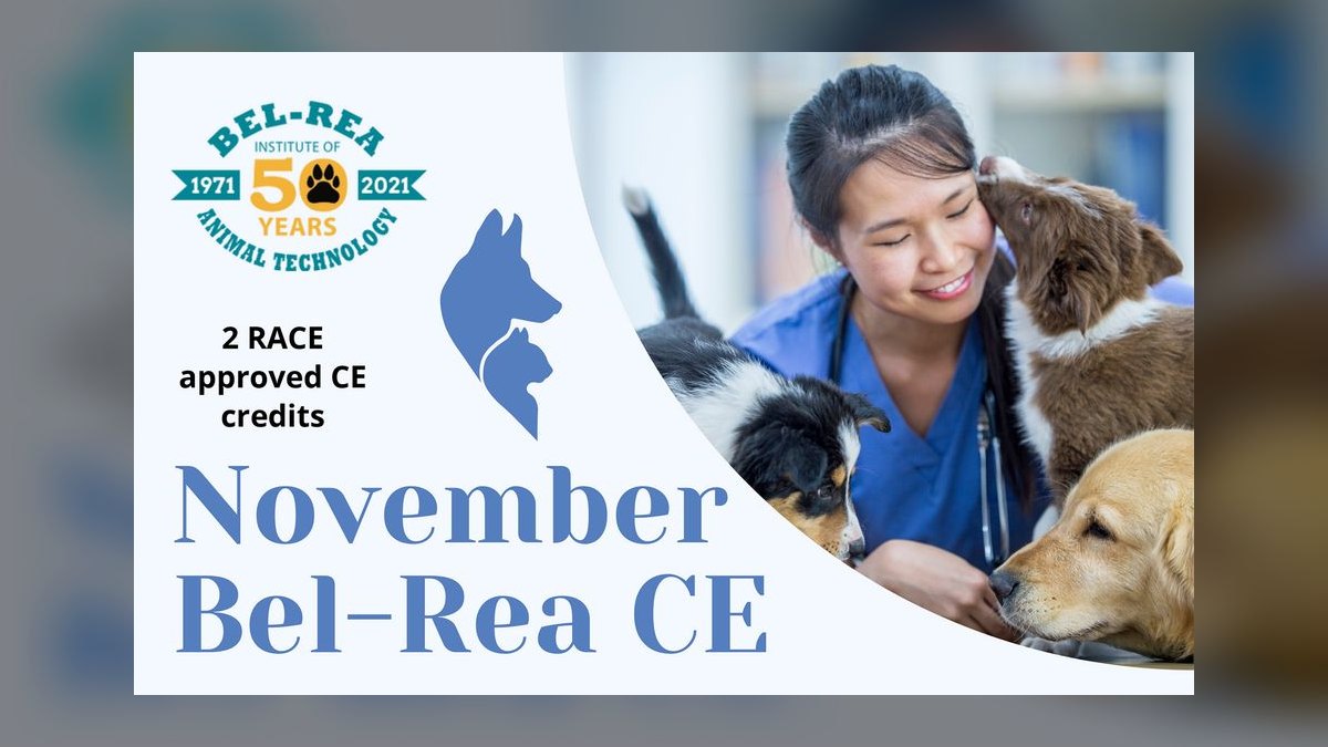 Top 10 Schools for Veterinary Technician Training in 2027 — figure 6
