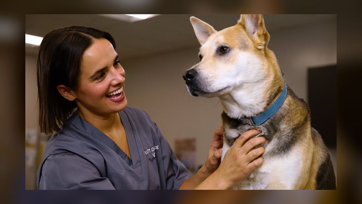 Top 10 Schools for Veterinary Technician Training in 2027 — figure 8
