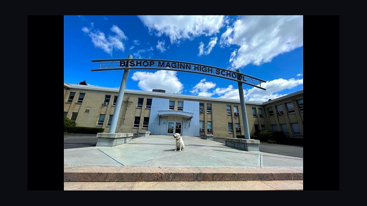 Top 10 Catholic Schools in Albany in 2027 — figure 1