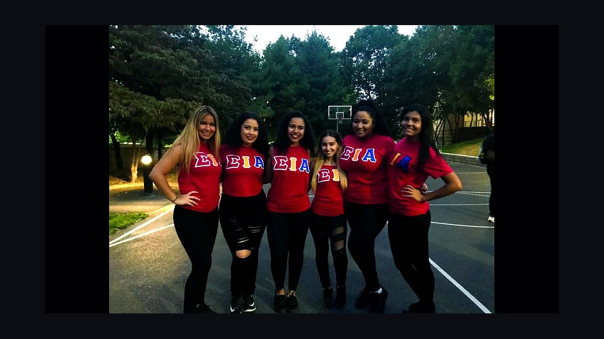 Top 7 Sororities at University of New Haven in 2027 — figure 3