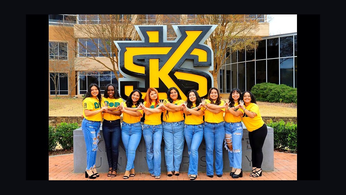 Top 7 Sororities at State University of New York at Old Westbury in 2027 — figure 4