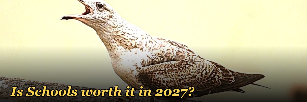 Is Schools worth it in 2027?