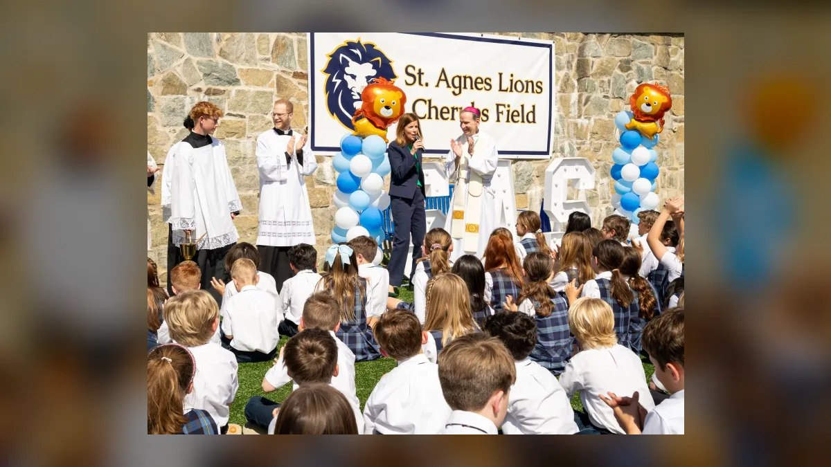 Top 10 Catholic Schools in Minnesota in 2027 — figure 9