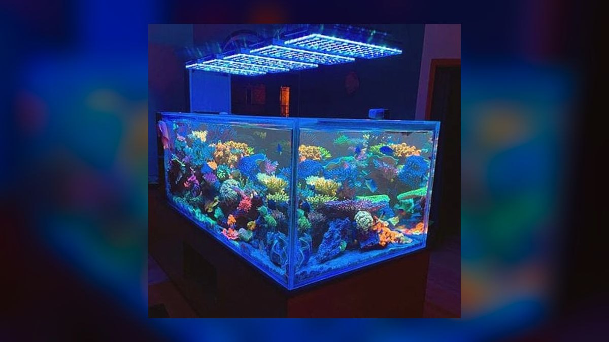 Skill Drill: Difficult Conversations for Commercial Real Estate — figure 9