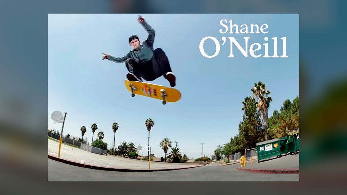 Top 10 Nike SB signature skate shoes ever — figure 6