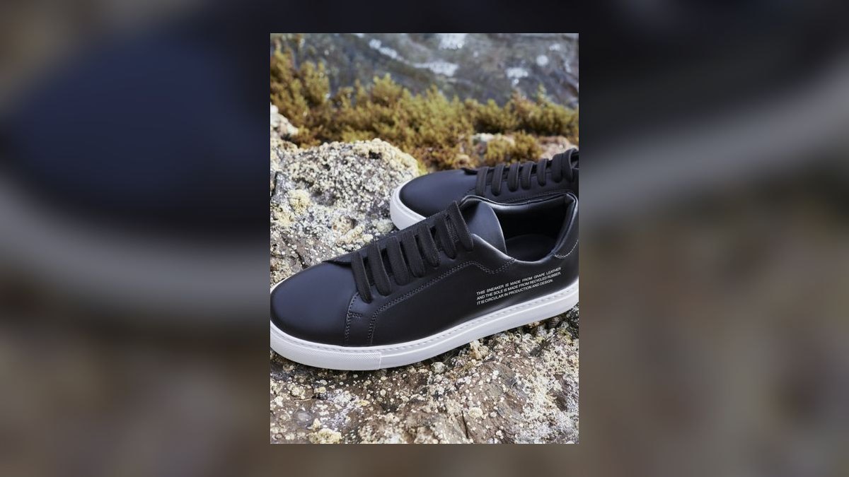 Top 10 mushroom leather and plant-based alternative sneakers ever — figure 4