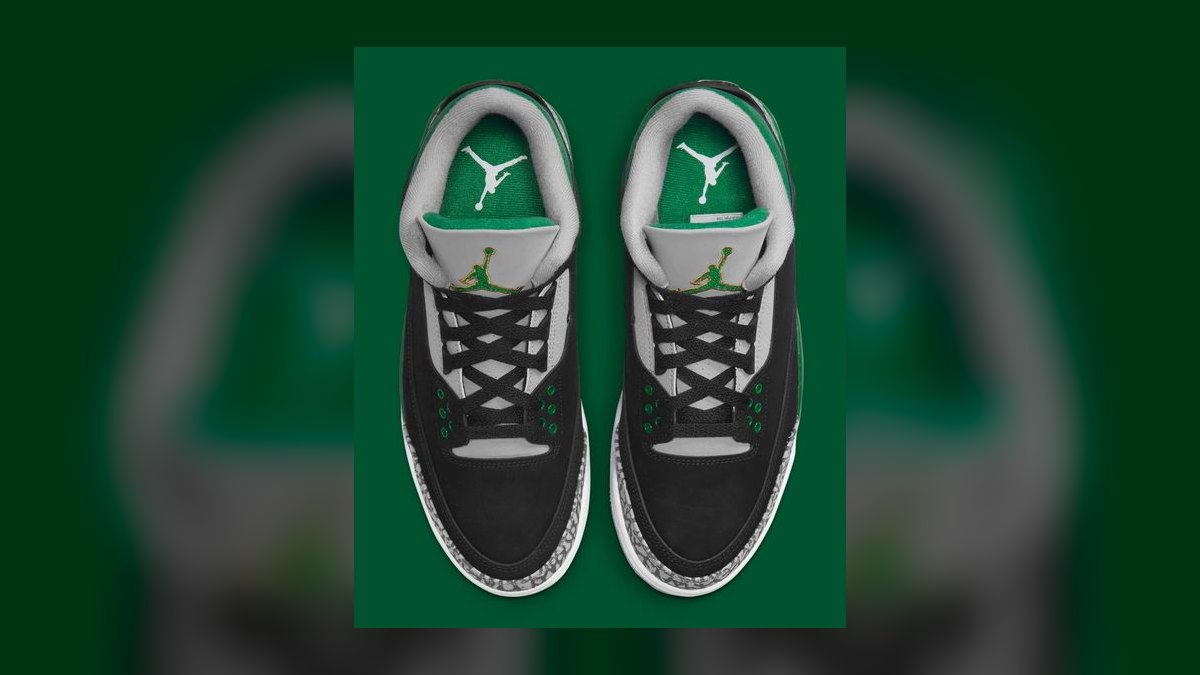 Top 10 Air Jordan 3 Colorways Released in 2024 — figure 5