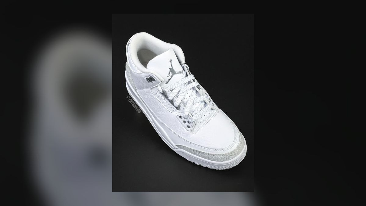 Top 10 Air Jordan 3 Colorways Released in 2003 — figure 9