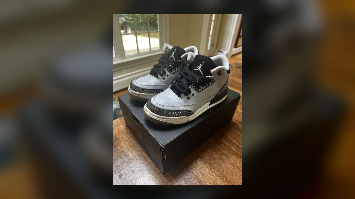 Top 10 Air Jordan 3 Colorways Released in 1994 — figure 6