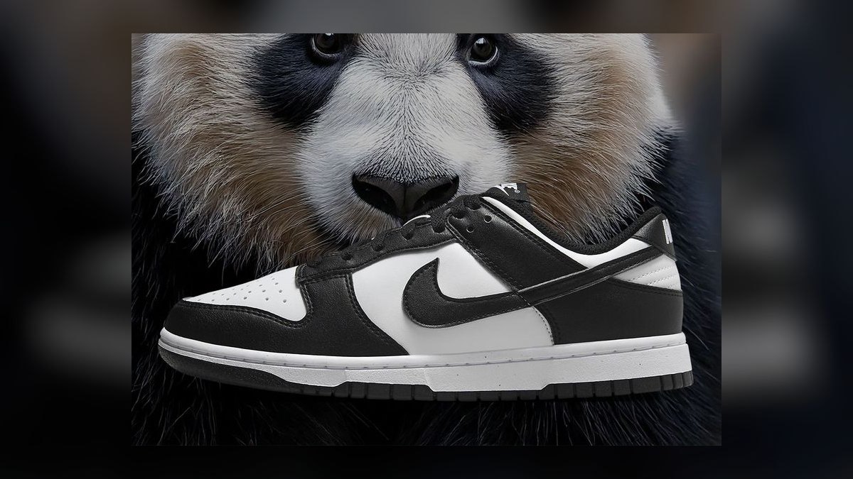 Top 10 Nike Dunk Low Colorways of All Time — figure 1