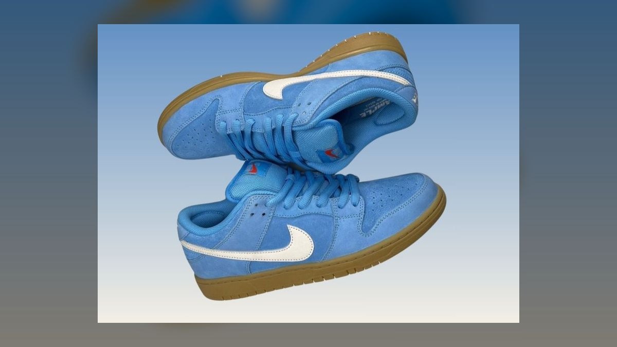 Top 10 Nike Dunk Low Colorways of All Time — figure 8