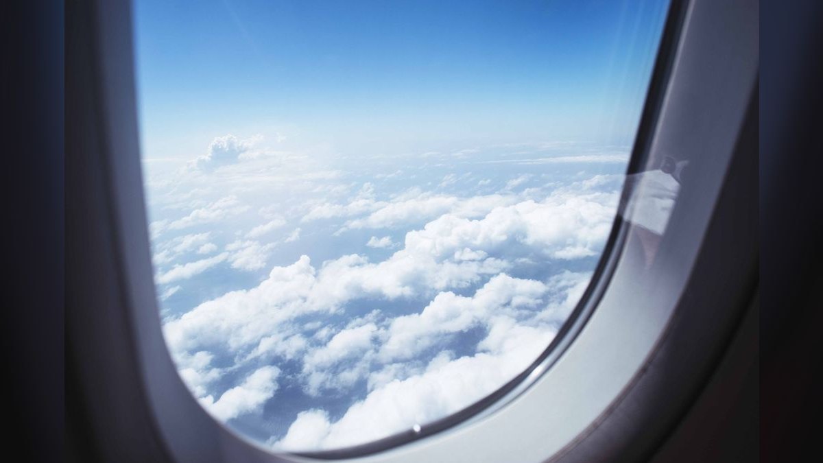 A Retirement Speech for a Flight Attendant — figure 2