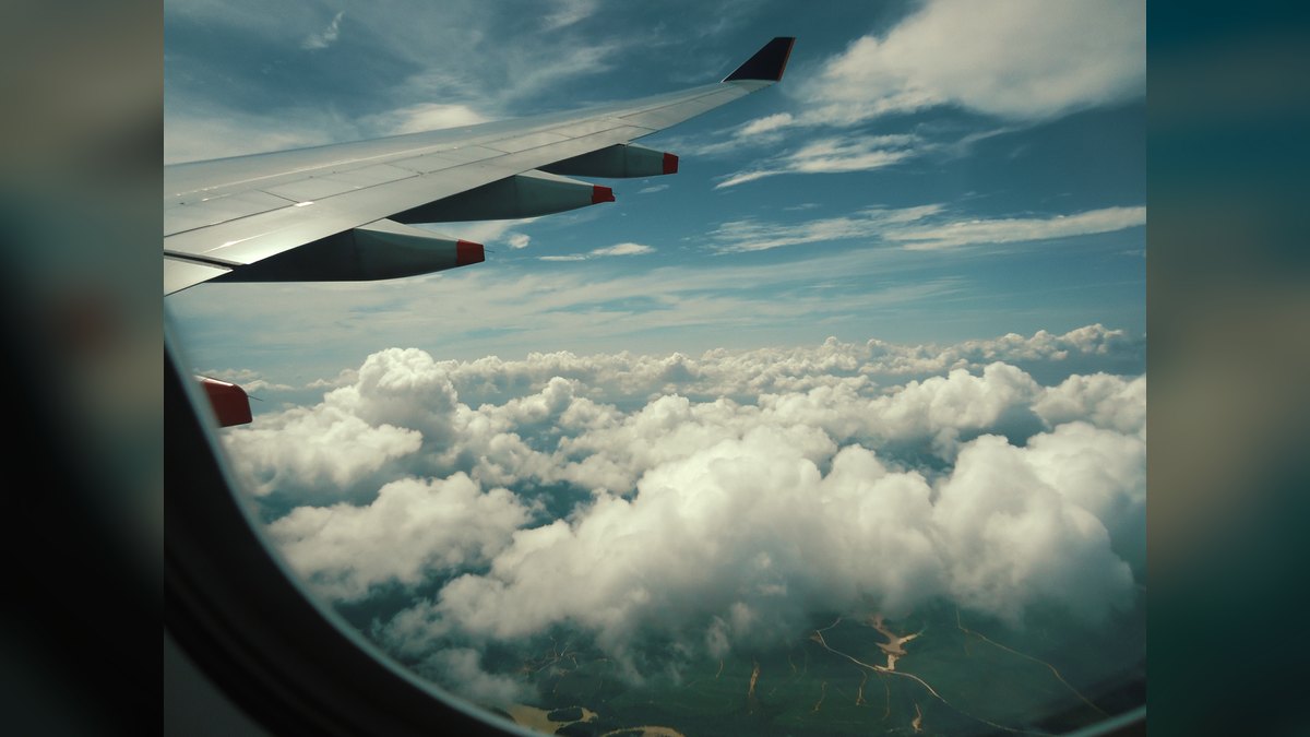 A Retirement Speech for a Flight Attendant — figure 4