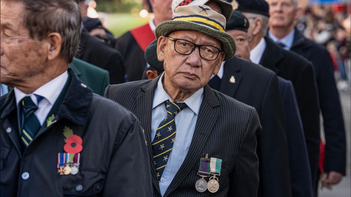 A Speech for a Veterans Day Tribute — figure 1