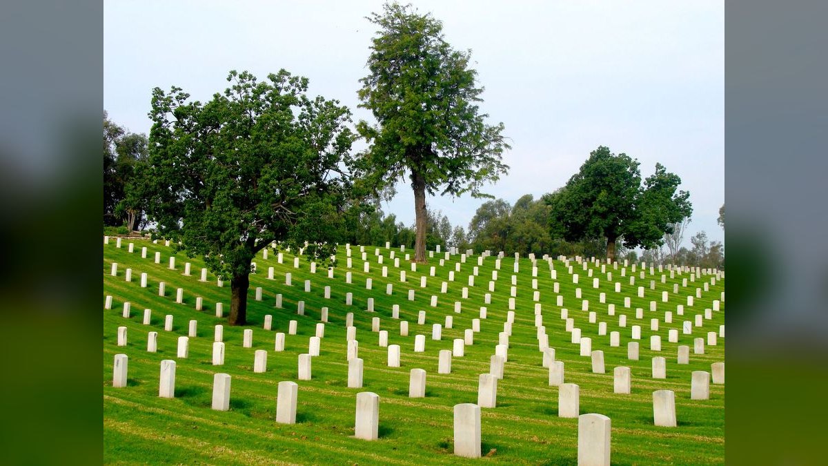 A Speech for a Veterans Day Tribute — figure 4