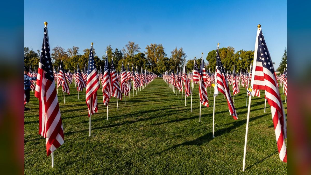 A Speech for a Veterans Day Tribute — figure 5