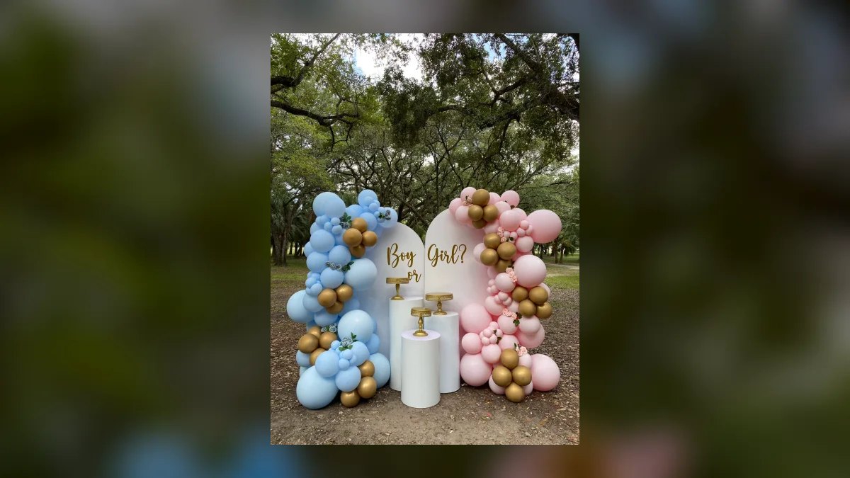 A Speech for a Gender Reveal Party in 2027