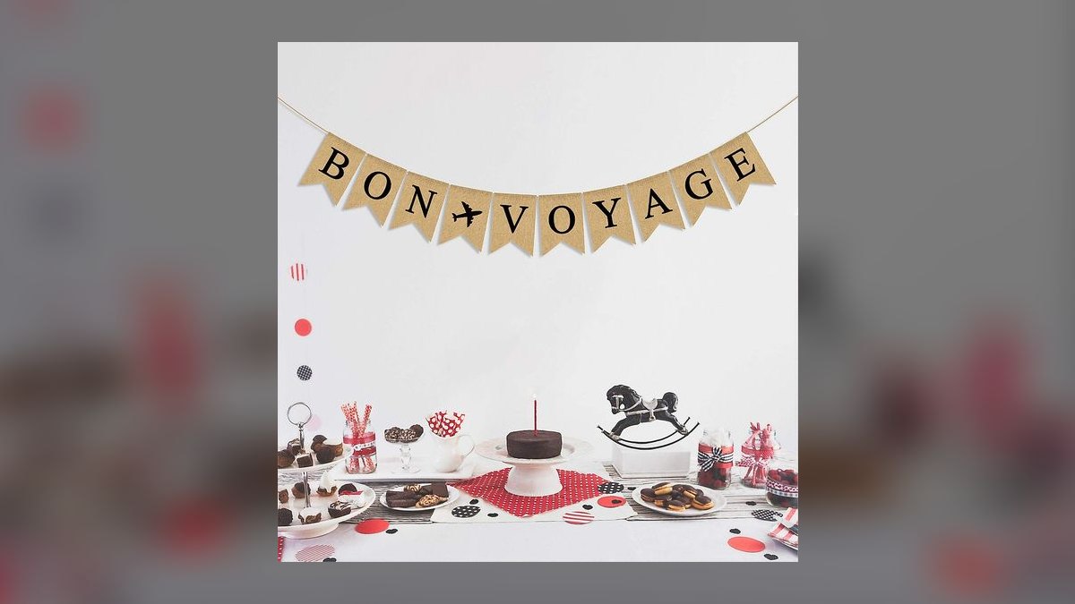 A Toast for a Bon Voyage Party in 2027 — figure 6