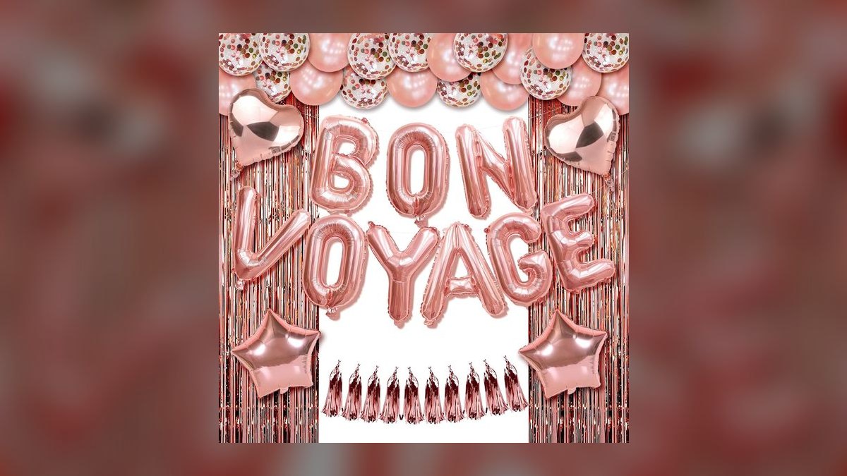 A Toast for a Bon Voyage Party in 2027 — figure 8