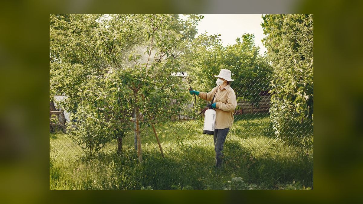 Commercial Pest Control Bid Walk — 60-Min Training — figure 6
