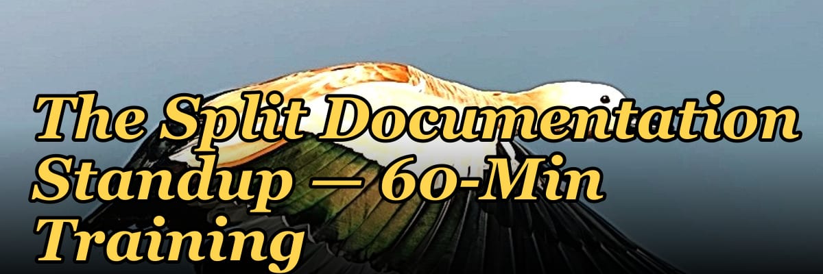 The Split Documentation Standup — 60-Min Training