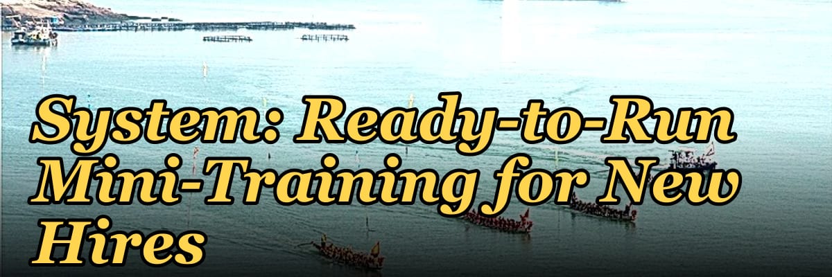 The Sandler Selling System: Ready-to-Run Mini-Training for New Hires